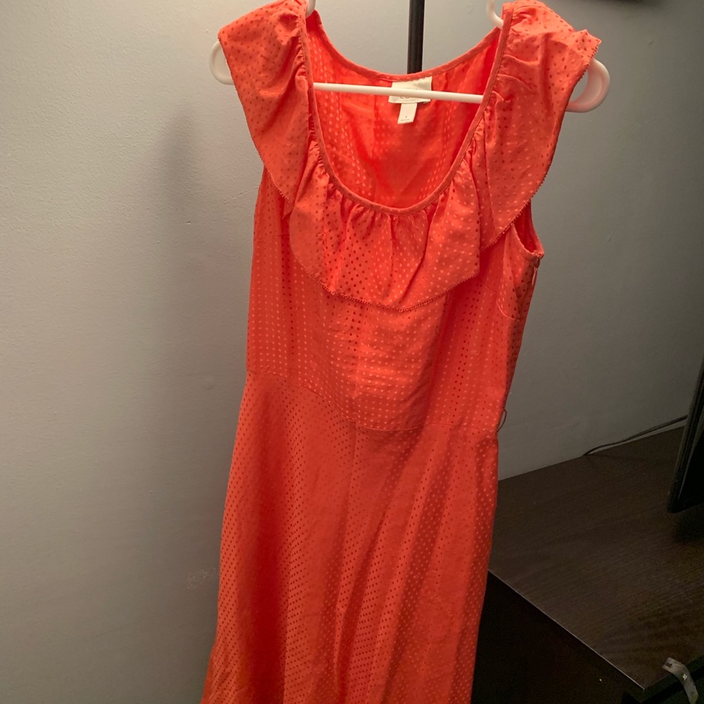 Anne Taylor Loft Dress